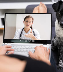 Telemedicine for Pets: Are Online Vets in Dallas, TX, Here to Stay?