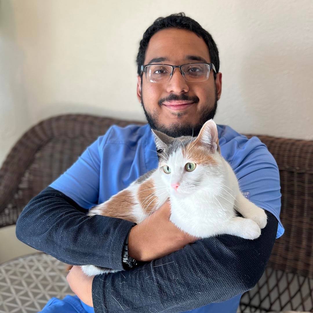 male tech holding calico cat