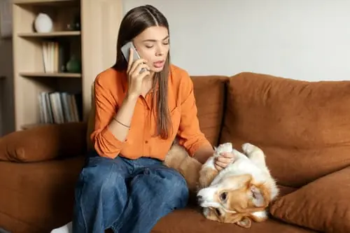 worried-female-pet-owner-on-the-phone-while-looking-at-her-dog