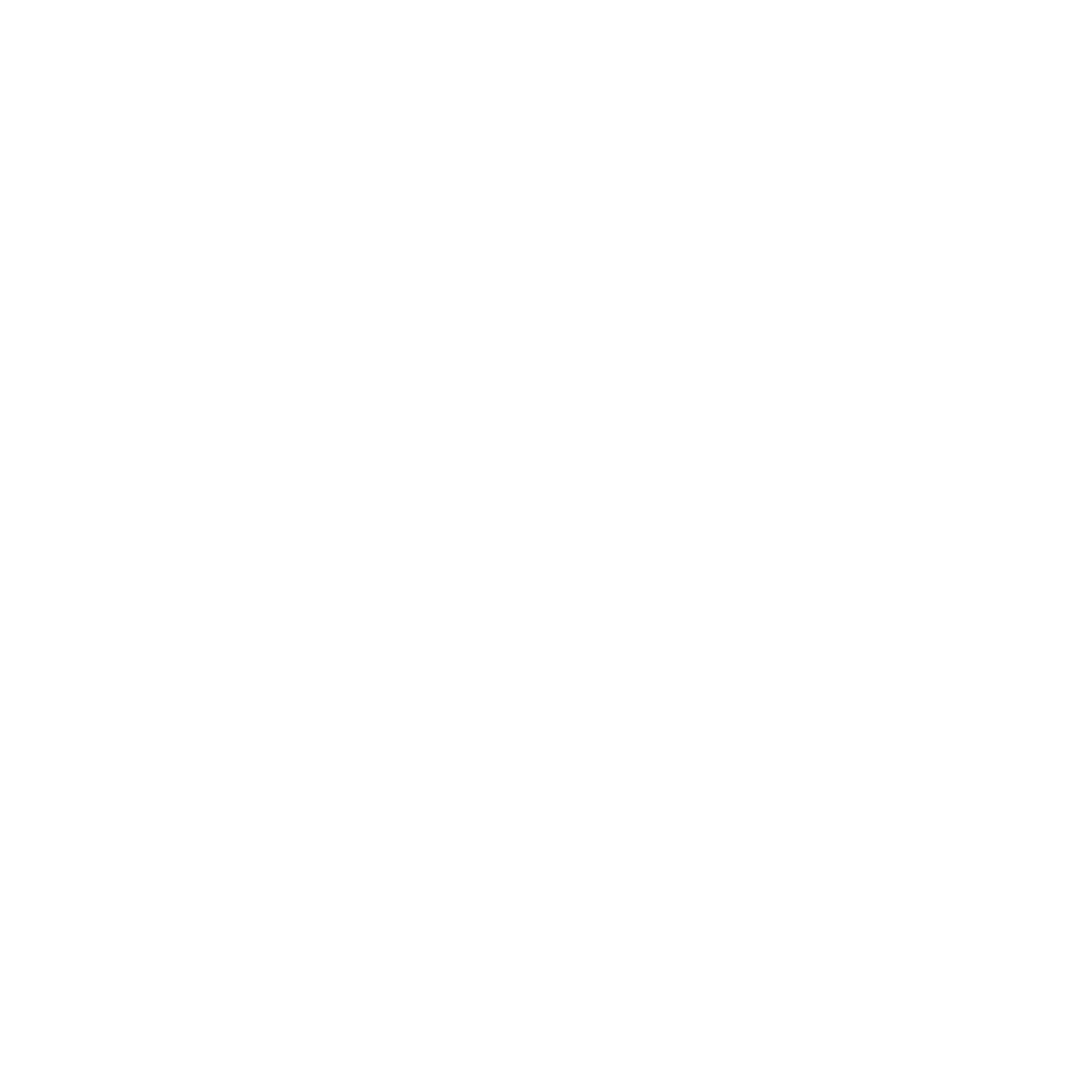 Pet Boarding Icon