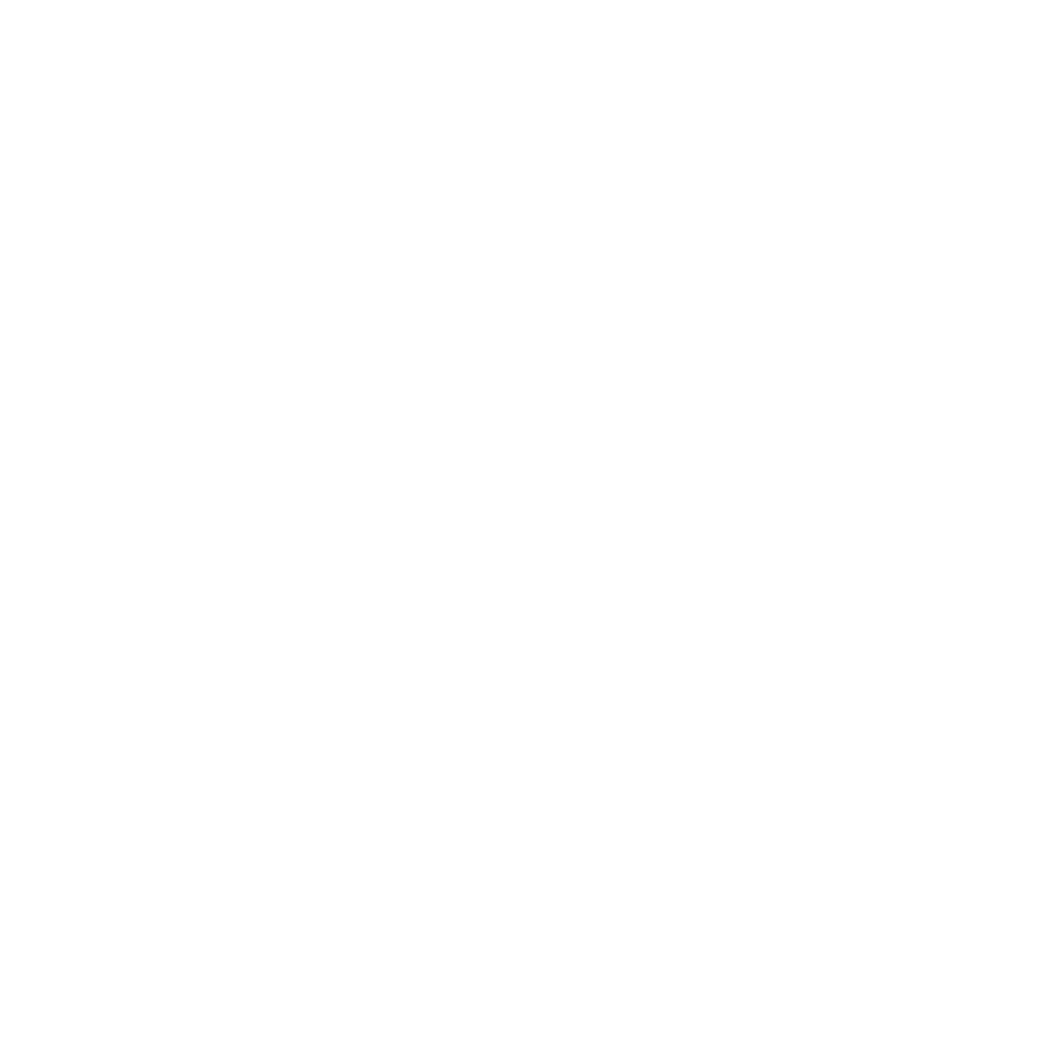 Pet Surgery Icon