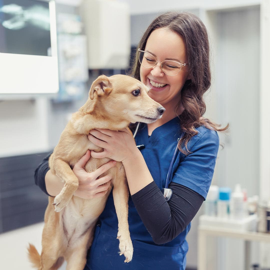 happy female veterinarian with glasses holding dog in arms