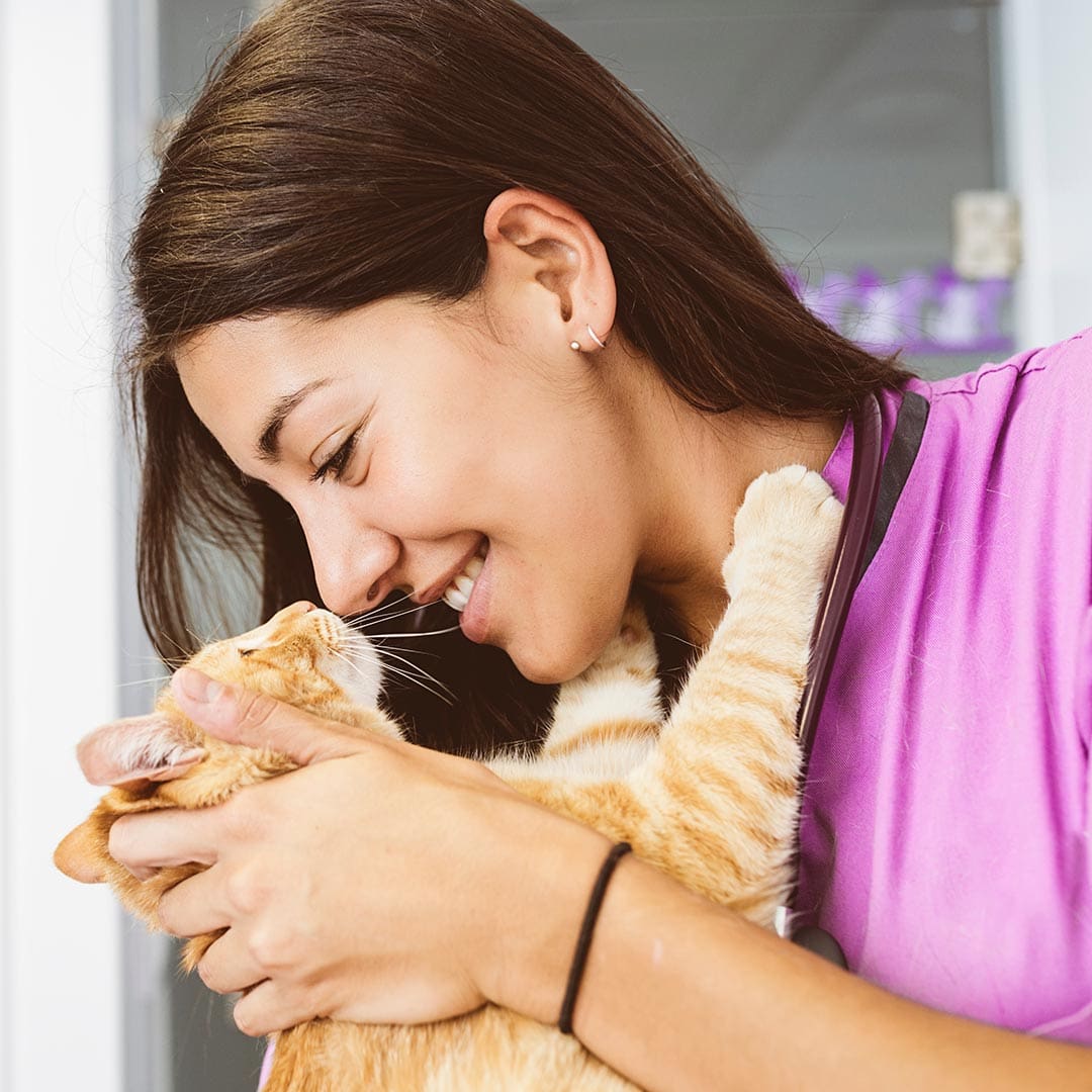 happy female veterinarian cuddling orange tabby cat