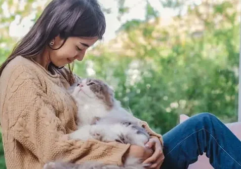 Cat Purring Effect On Humans